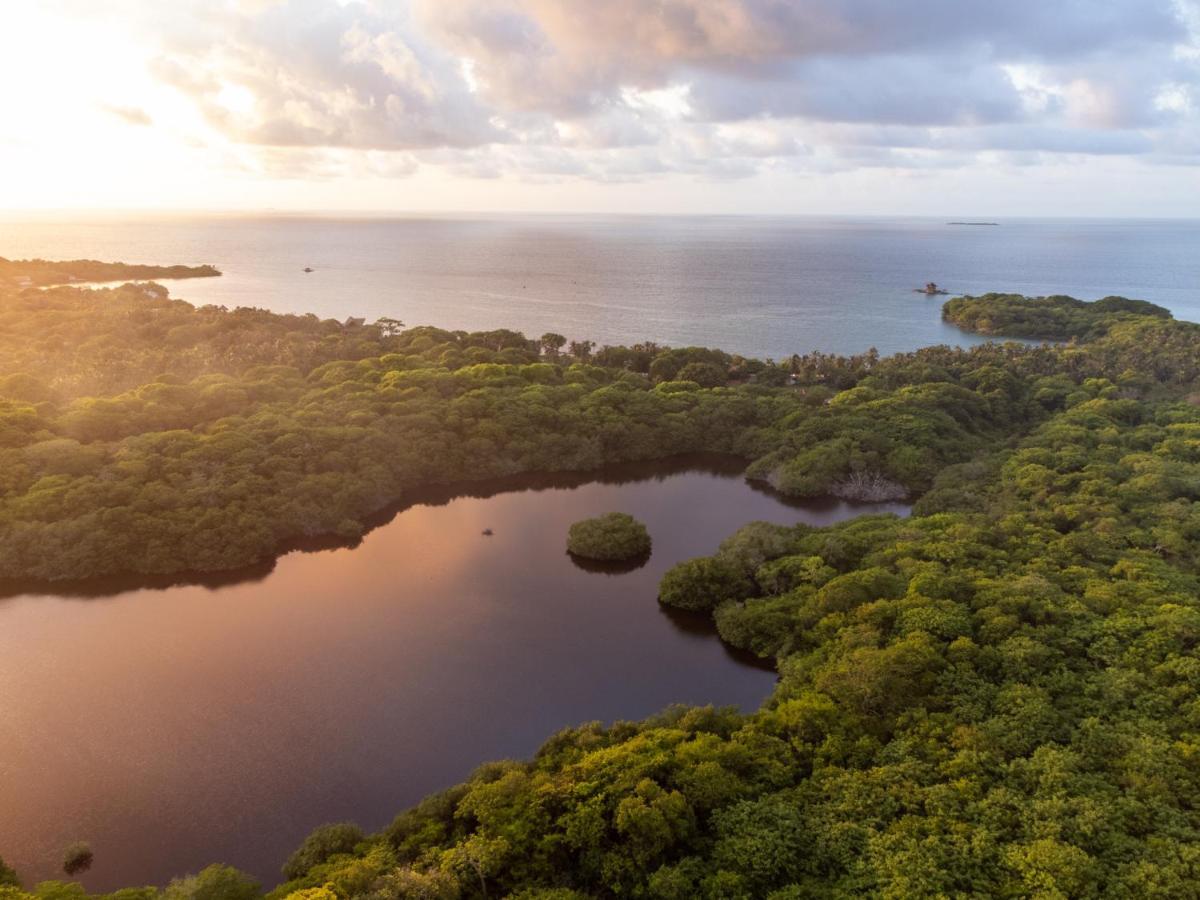 Rosario Ecohotel Isla Grande  Extérieur photo